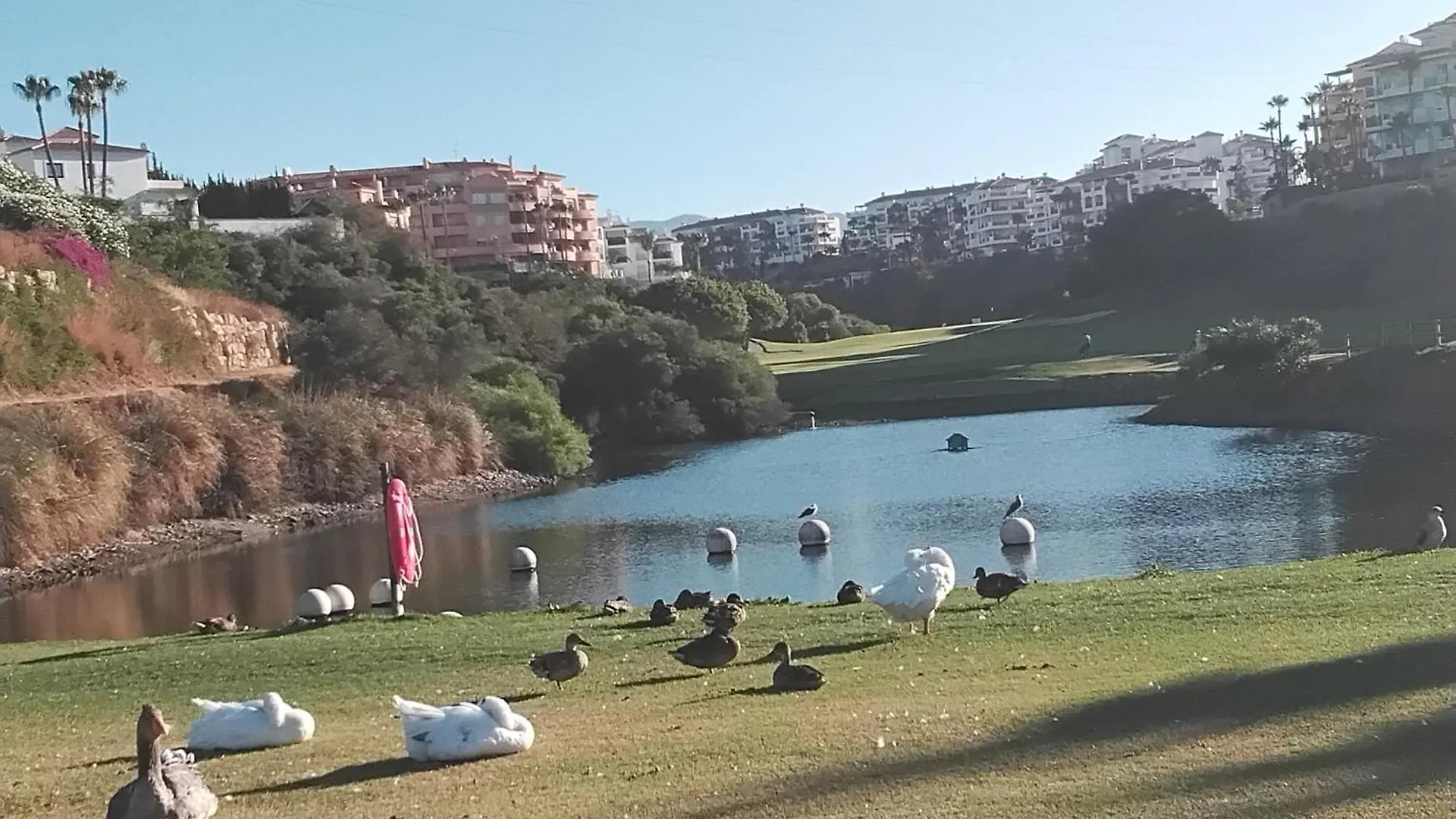Island Of Riviera Golf Beach Mijas Costa Malaga